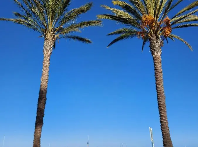 Casa Da Sardinha Apartament *